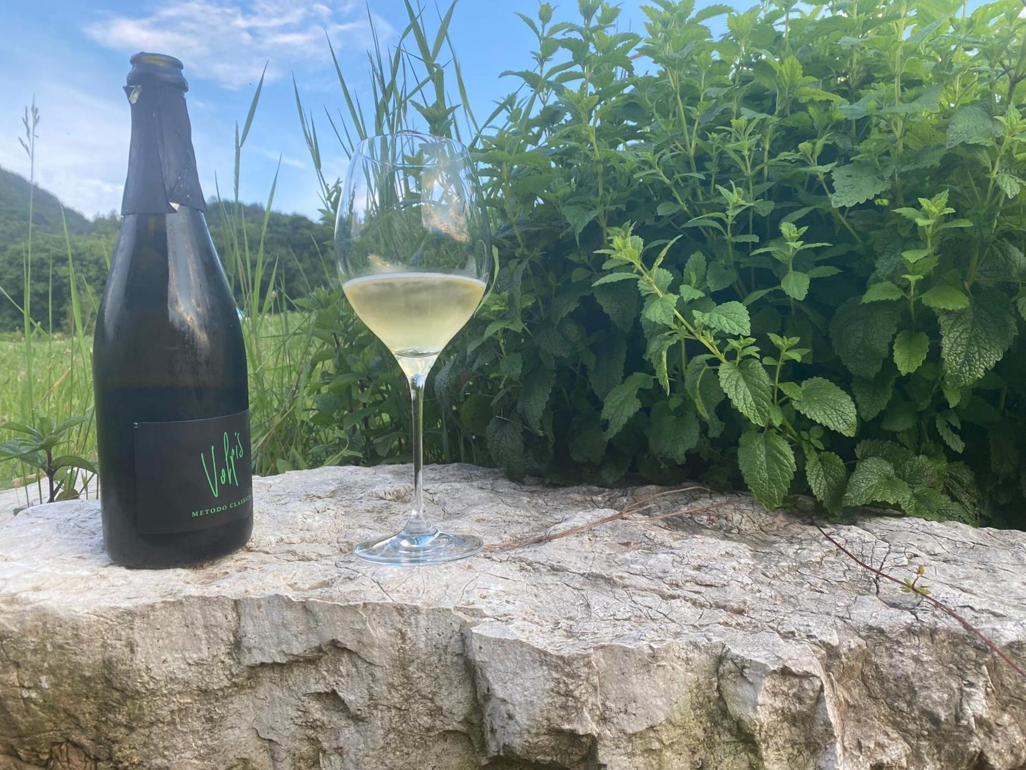 Agritur Verderame 特伦托 外观 照片